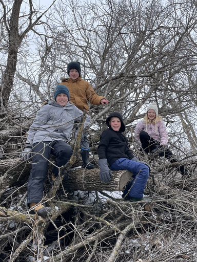 Students climbing on branch pile