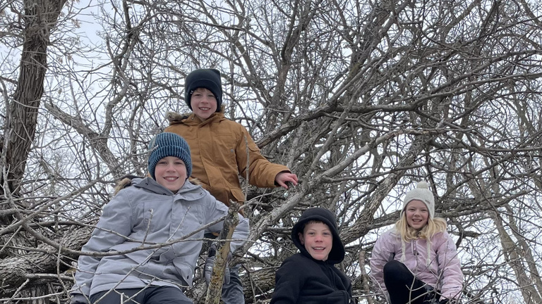 Students climbing on branch pile 
