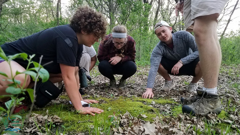 examine ground