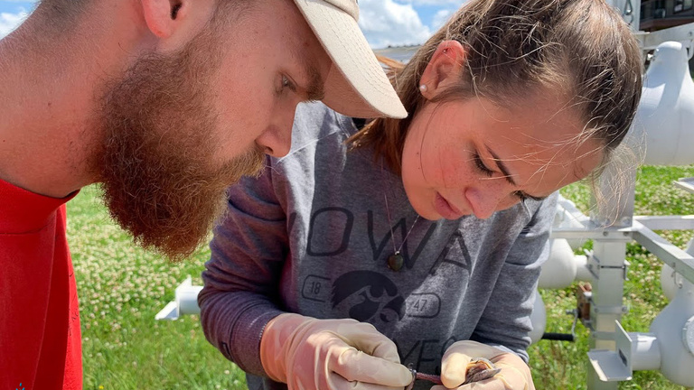 Bird banding